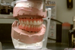IMAG0042