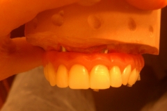 IMAG0053